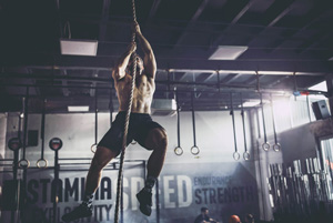 Cross Training